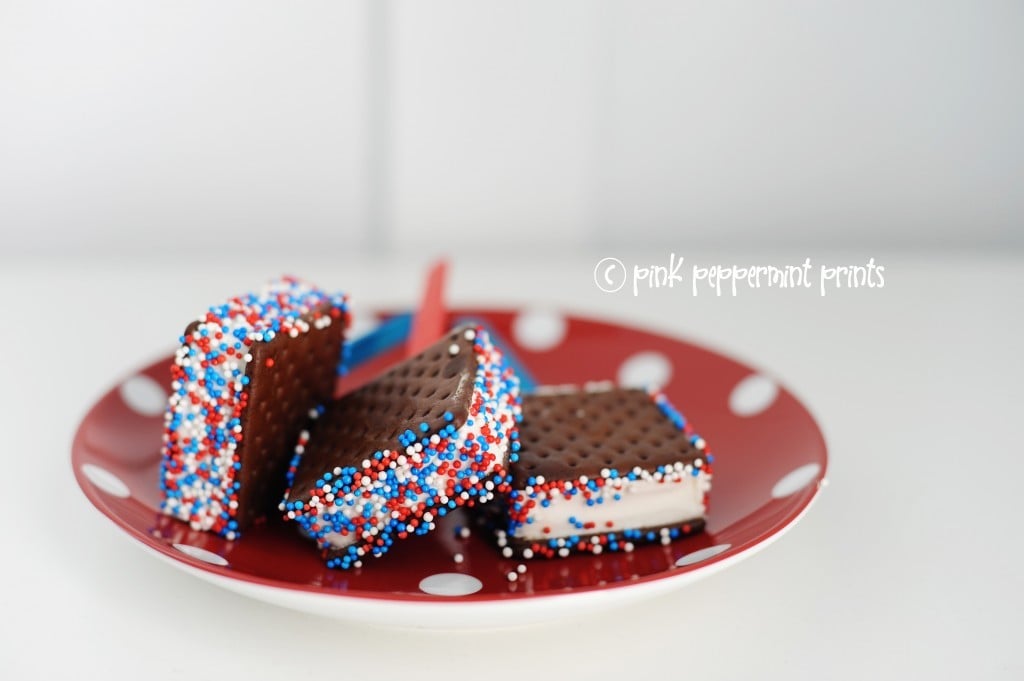 Ice cream sandwiches ppp 1024x681