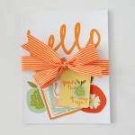 Collection with ribbon