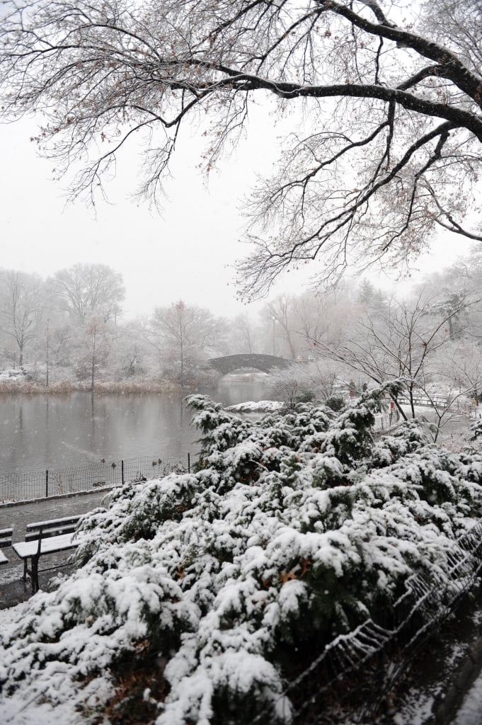 new york city at christmas