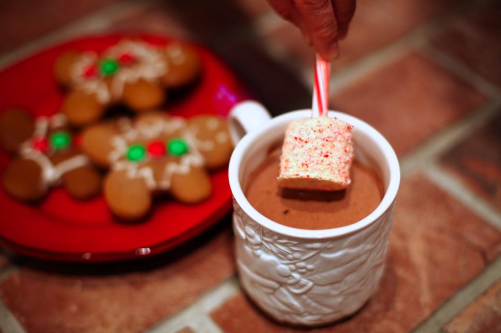 Candy Cane White Chocolate Hot Chocolate Stirrers