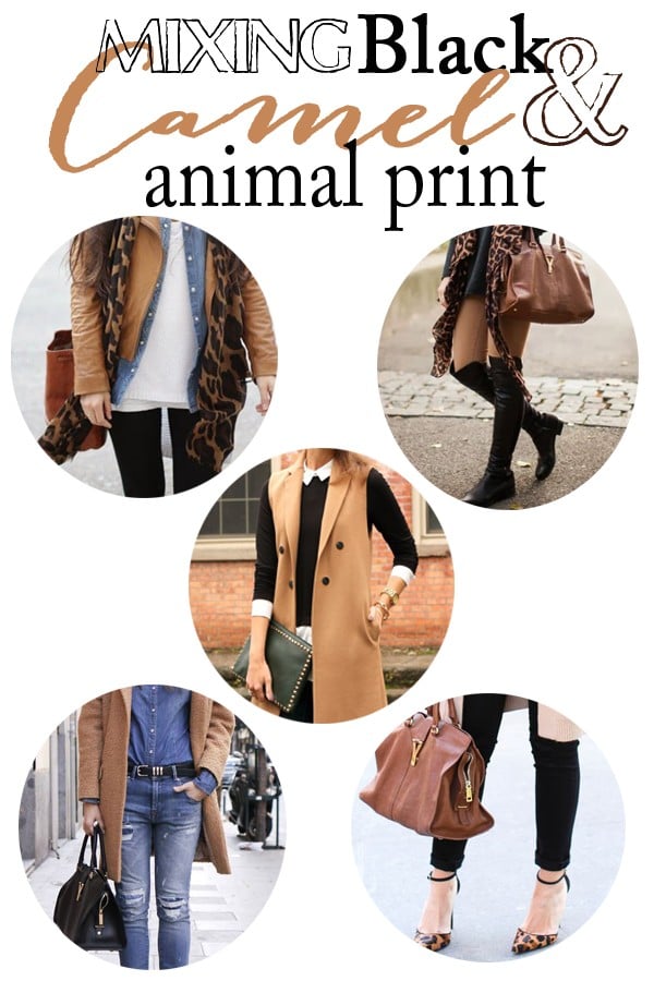 https://pinkpeppermintdesign.com/wp-content/uploads/2015/09/black-camel-and-animal-print-header-copy.jpg