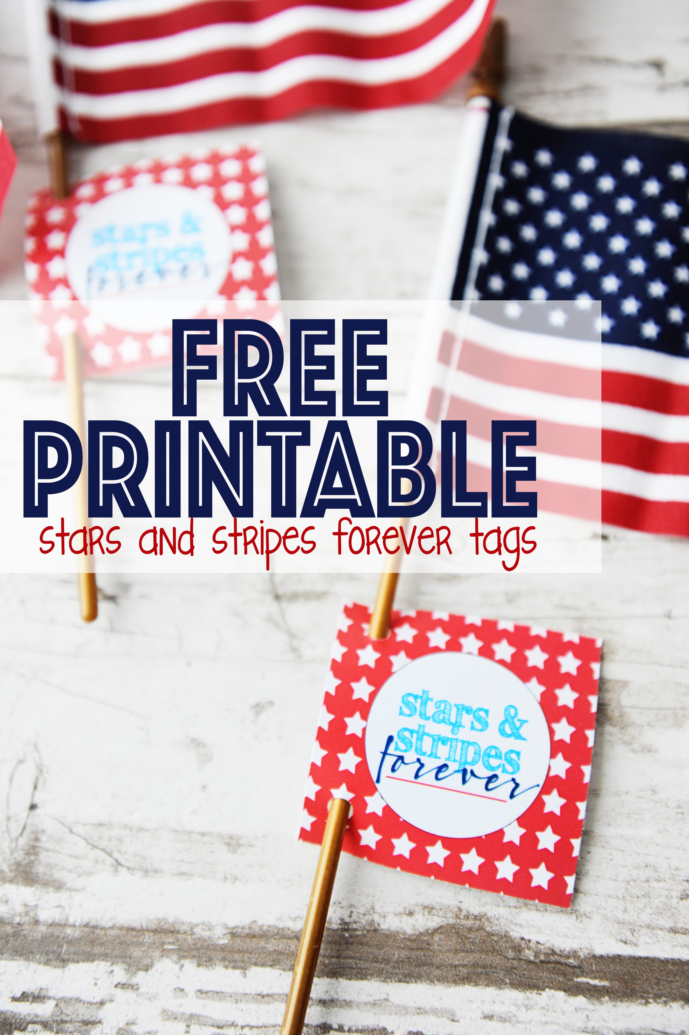 Stars and stripes forever tags with text