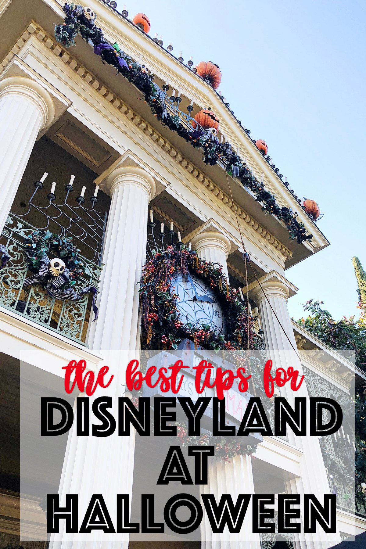 Disneyland at halloween tips