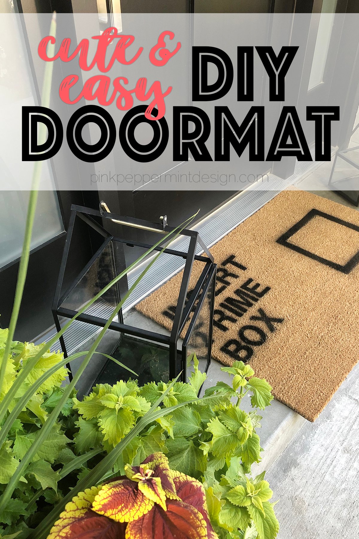 https://pinkpeppermintdesign.com/wp-content/uploads/2019/08/diy-doormat-ideas-5.jpg