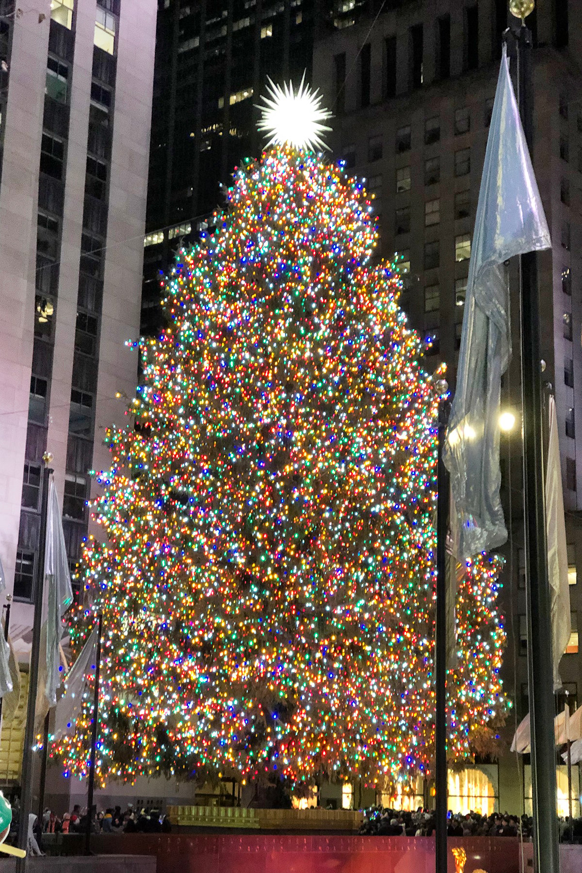 Rockefeller center christmas tree 1