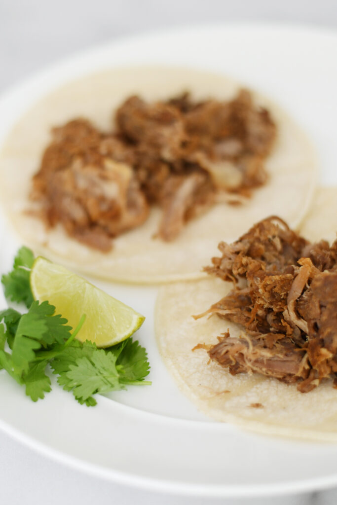 Amazing Pork Carnitas Tacos Recipe and Toppings — Pink Peppermint Design