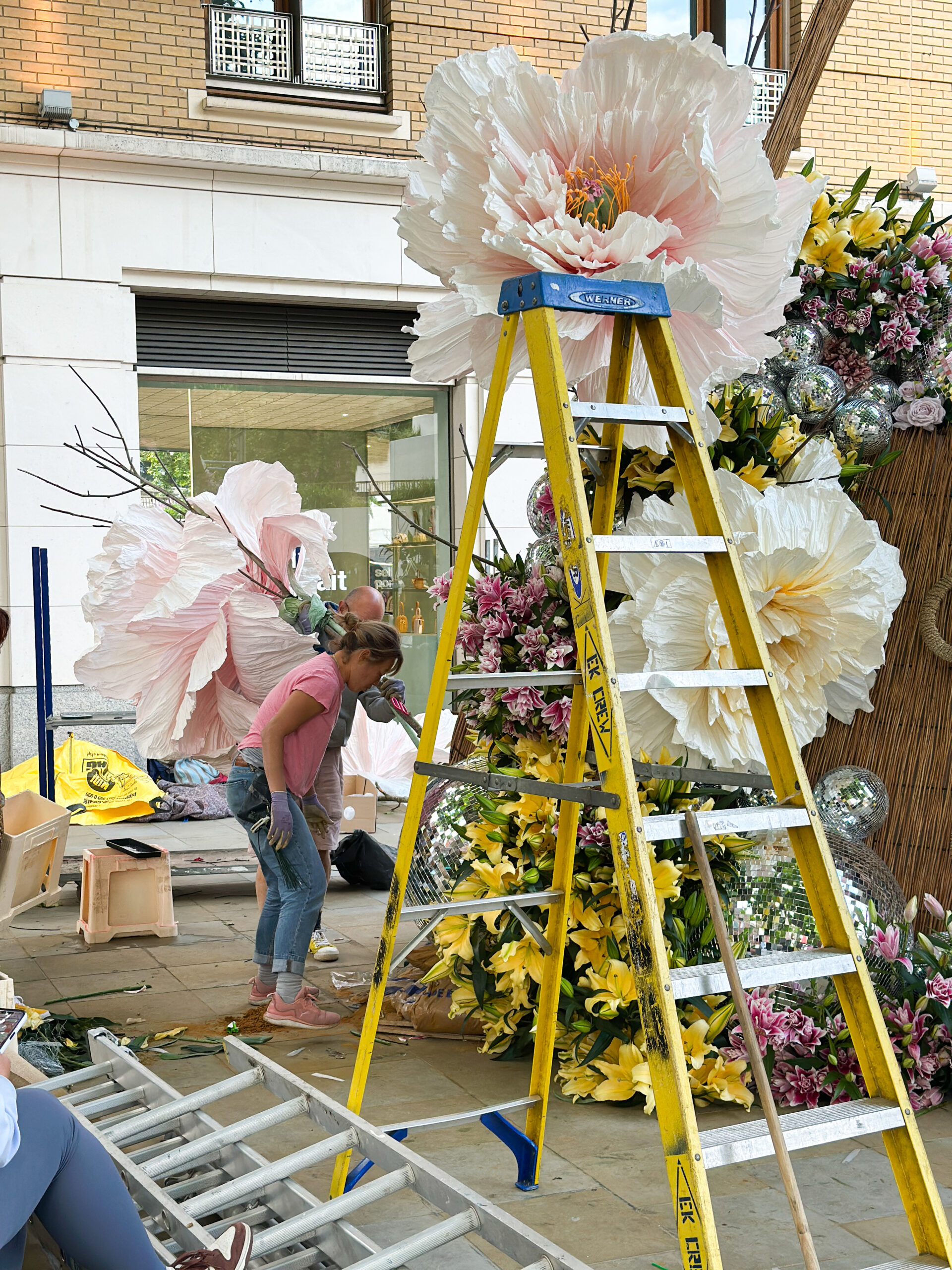 chelsea in bloom flower show London