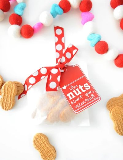 DIY nuts about you valentine printable tag