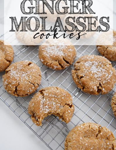 amazing ginger cookie recipes