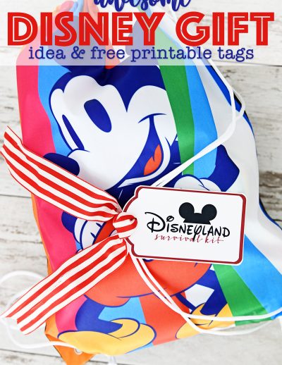 Awesome gifts for disny lovers