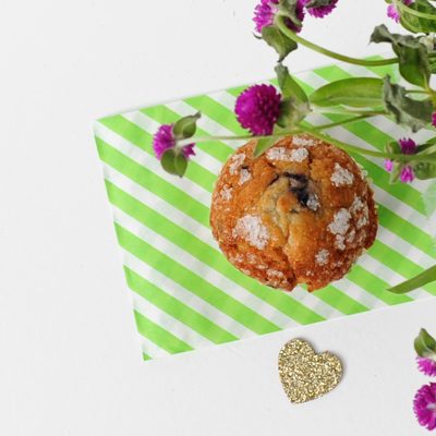 Blueberry header