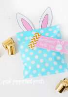 Bunny bag blog