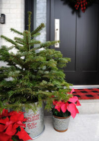 Christmas home tour 8