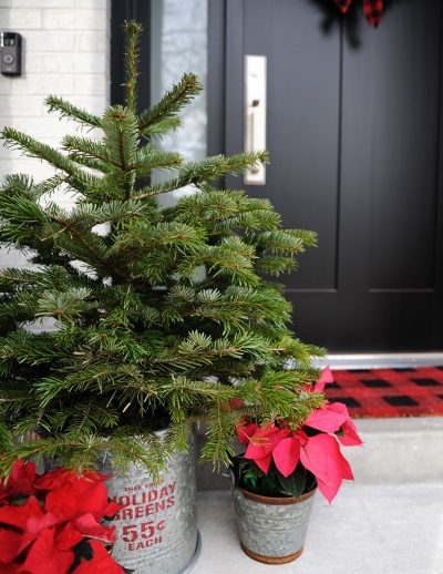Christmas home tour 8