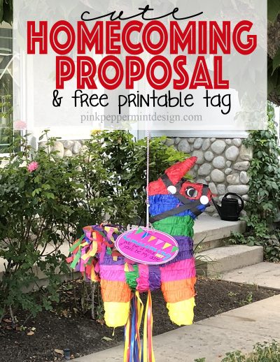 cute homecoming proposal idea