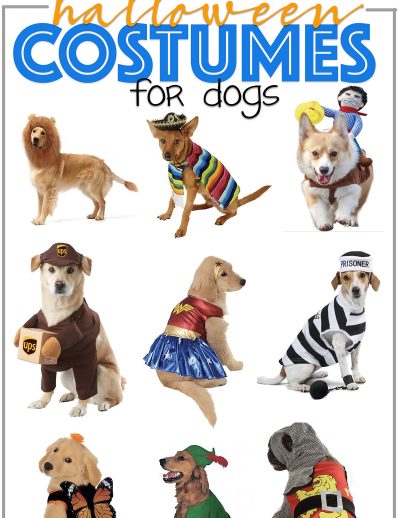 Featured hilarious halloween costumes for dogs