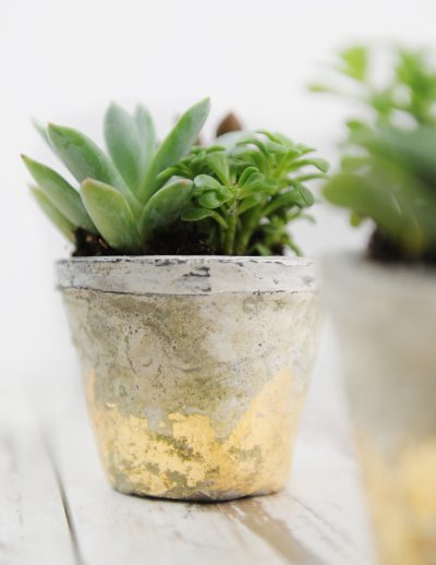 Gold pots 9