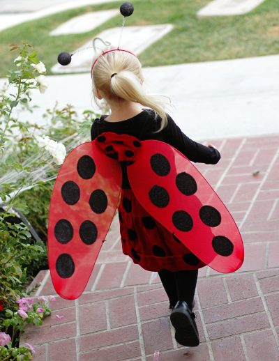 Halloween 121