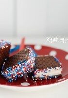 Ice cream sandwiches ppp 1024x681