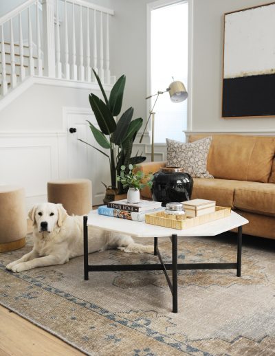 living room 5