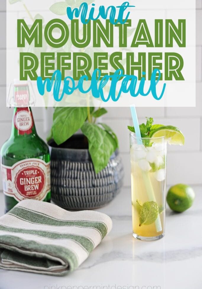 Mint mountain refresher mocktail