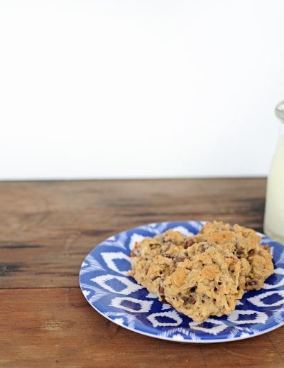 Oatmeal chocolate chip coconut walnut cookie recipe header