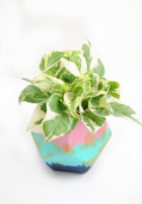 Planter 3