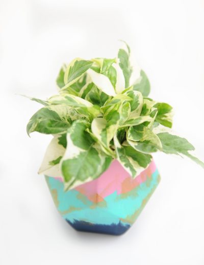 Planter 3