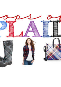 Pops of plaid header