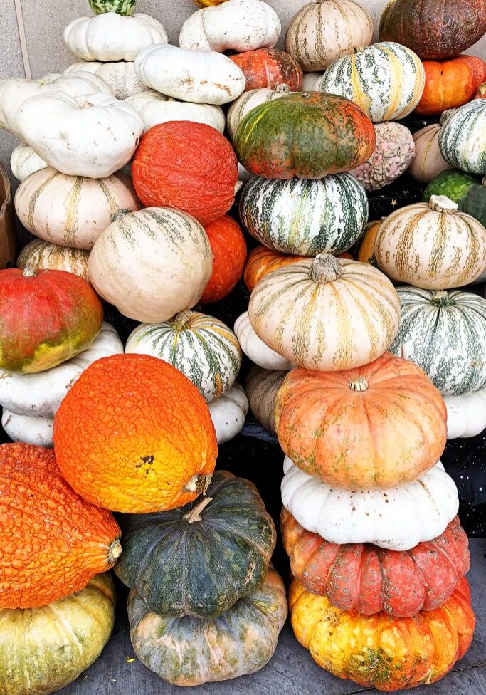 Pumpkins