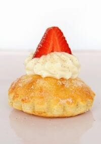 Shortcake header and featured 1024x682 1