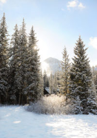 Snow 3