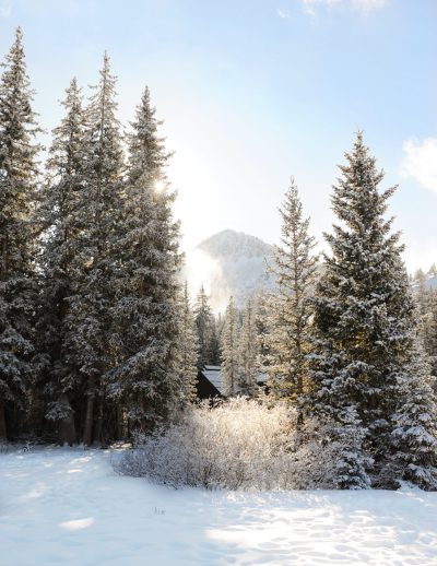 Snow 3