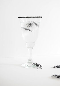Spider ice 1
