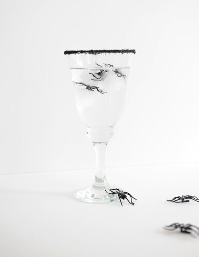 Spider ice 1