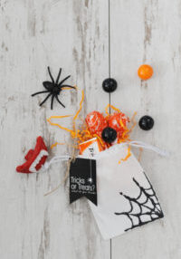 Spiderweb bag 1