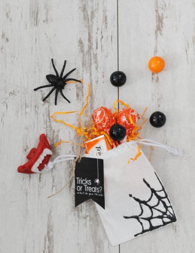 Spiderweb bag 1